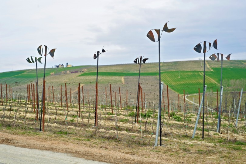 Nuove sculture nelle vigne con il progetto Terremerse